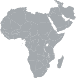 Middle East/Africa